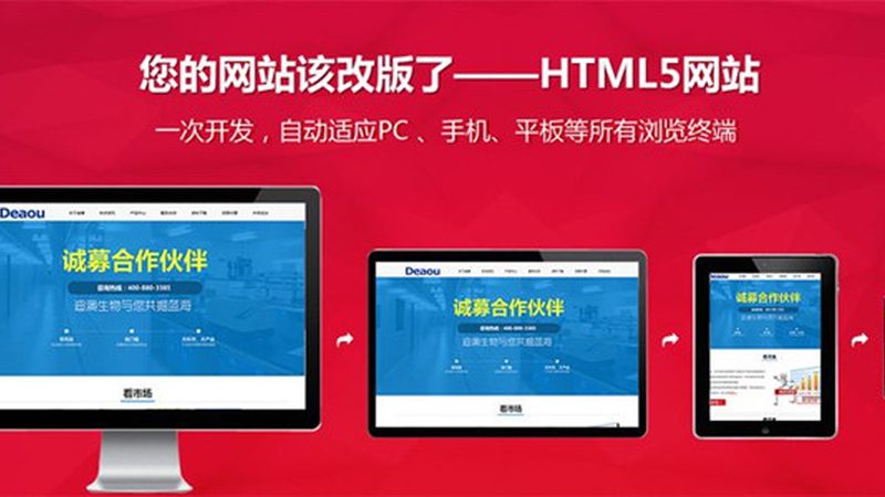 门户网站数据库选型：常见型号解析与适用场景